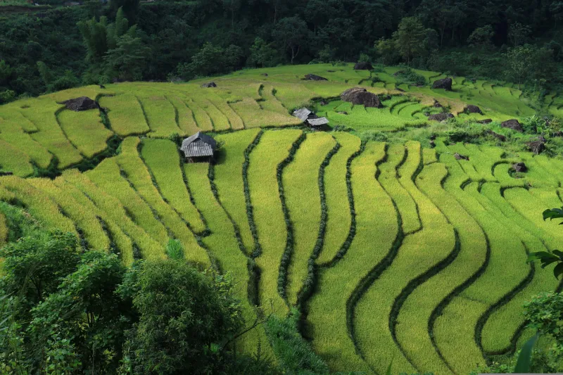 Asia River Cruise- landscape