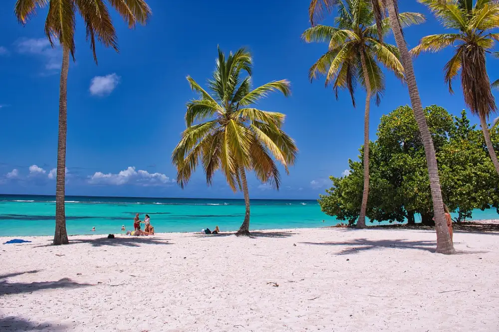 beach-6517214_1280